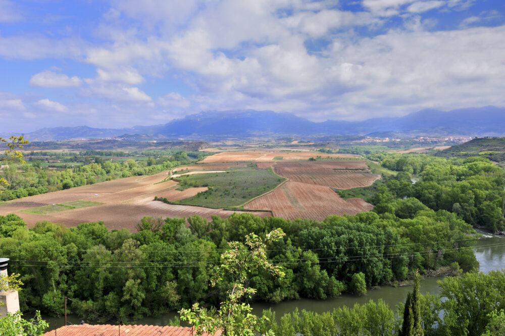 Descubre Rioja Alta y Briones de la mano de Bodegas Betolaza 1